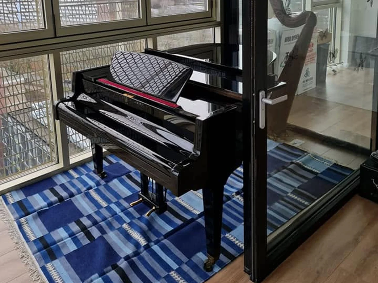 Zwarte vleugel op een blauw kleed in een lichte kamer met grote ramen
